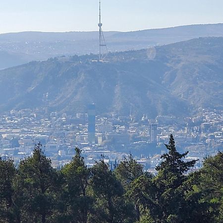 Apartmán Уиут Ниниа Сад Tbilisi Exteriér fotografie
